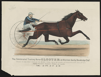 The celebrated trotting horse Gloster | Free Photo - rawpixel