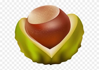 The Chestnut Leaf In Autumn - Chestnut Clipart