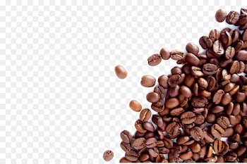 The Coffee Bean & Tea Leaf Espresso Cafe Dolce Gusto - coffee beans 