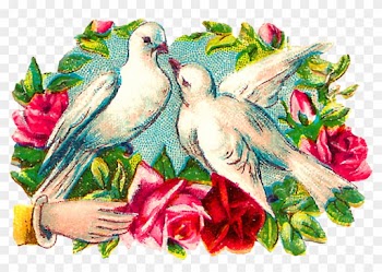 The Colorful Romantic Clipart Images Of Pairs Of Doves - Garden Roses