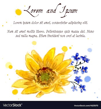 The composition of yellow sunflower painted in vector image