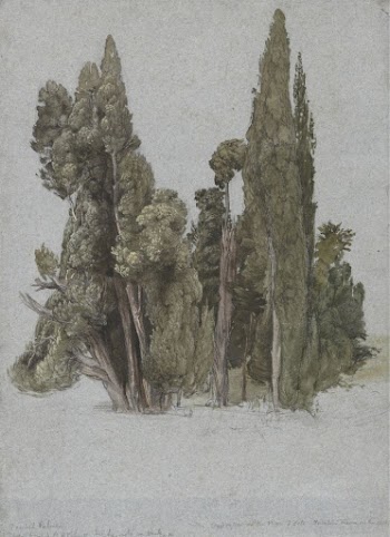The Cypresses at the Villa | Free Photo - rawpixel