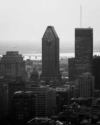 The De La Gauchetiere and City Buildings in Montreal, Canada · Free Stock Photo