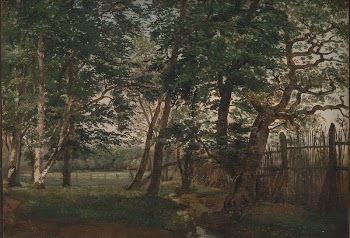 The Deer Park North of Copenhagen | Free Photo - rawpixel