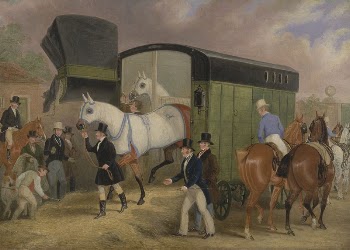 The Derby Pets: The Arrival | Free Photo - rawpixel