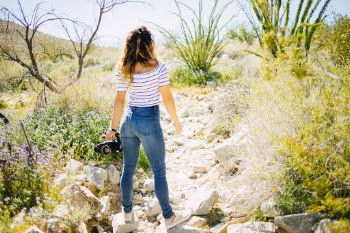 The desert around Borrego Springs was simply beautiful in yellow, red, and purple wildflowers. There was something to photograph everywhere we looked.