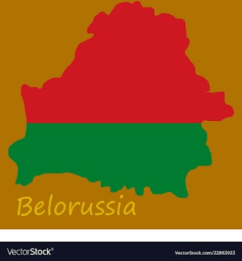 The detailed map of belarus with national flag vector image