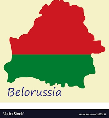 The detailed map of belarus with national flag vector image