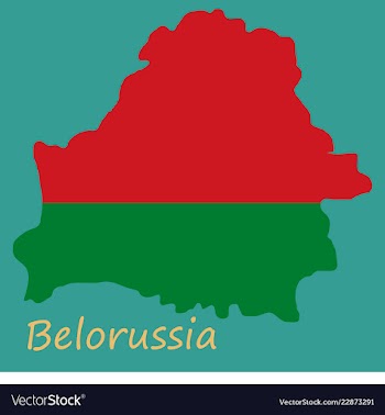 The detailed map of belarus with national flag vector image