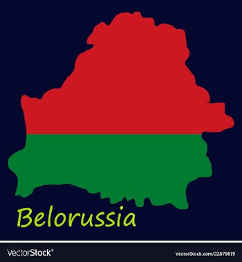 The detailed map of belarus with national flag vector image