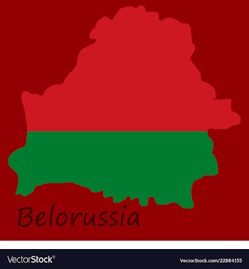 The detailed map of belarus with national flag vector image