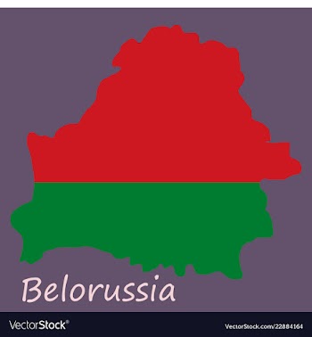 The detailed map of belarus with national flag vector image
