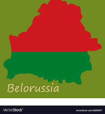 The detailed map of belarus with national flag vector image