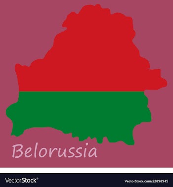 The detailed map of belarus with national flag vector image