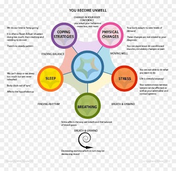 The Diagram Represents People's Experience Of Becoming - Circle