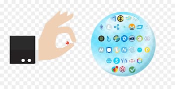 The dot-com bubble in the United States Cryptocurrency bubble Economic bubble Bitcoin - risk reward 