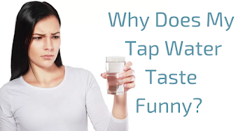 The Drinking Water Taste Guide — SimpleWater