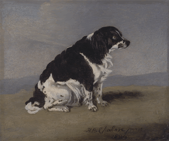 The Duchess of York's Spaniel | Free Photo - rawpixel