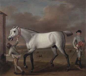 The Duke of Hamilton's Grey | Free Photo - rawpixel