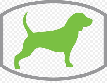 The Eco Dog Design Company Puppy Dachshund Dog training Dog walking - puppy 