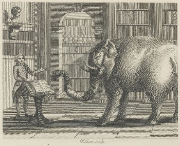 The Elephant and the Bookseller | Free Photo - rawpixel