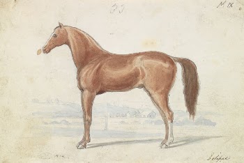 The English Race-Horse by Charles | Free Photo - rawpixel