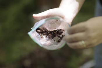 The Exploring Earth Science Teacher | Free Photo - rawpixel