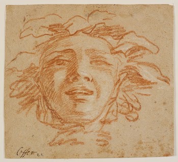 The face of a faun? | Free Photo - rawpixel