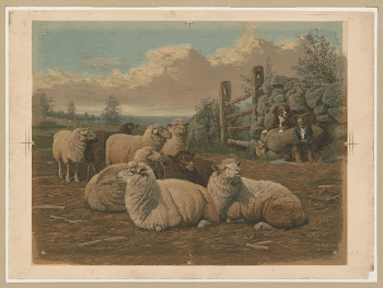 [The faithful shepherds] / A.F. | Free Photo - rawpixel