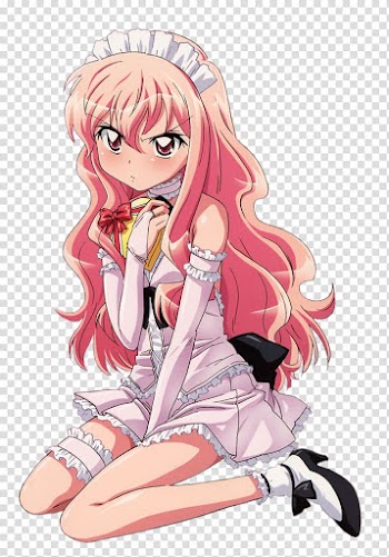 The Familiar of Zero Louise Anime Wikia, others transparent background PNG clipart