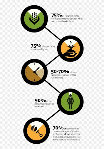 The Female Face Of Farming - Fao Aque Se Dedica