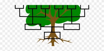 The First Digital Family Tree, Operational In Romania - Blank Family Tree Transparent