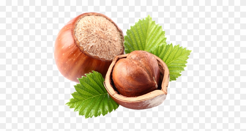 The Flavor Of Love - Hazelnut Png Transparent