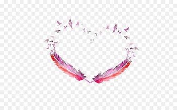 The Floating Feather Bird Discover Watercolor Watercolor painting - feather 