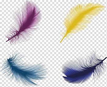 The Floating Feather Bird Euclidean , Color feather material transparent background PNG clipart