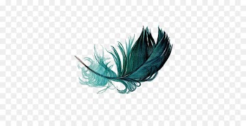 The Floating Feather Bird Watercolor painting - feather 