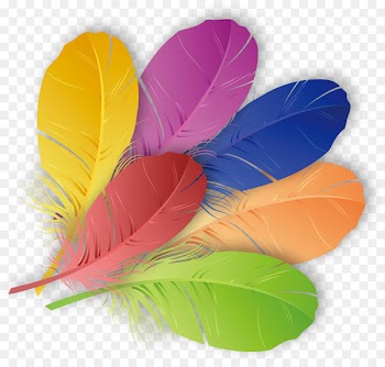 The Floating Feather Color - Colored feathers 