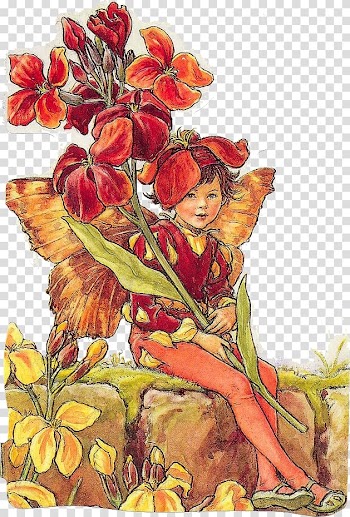 The Flower Fairies Alphabet Coloring Book A Flower Fairy Alphabet Flower Fairies of the Garden, Fairy transparent background PNG clipart