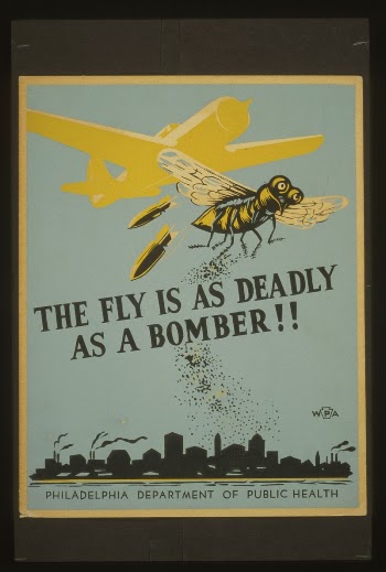The fly is as deadly | Free Photo - rawpixel
