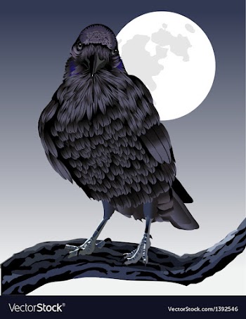  					The Formidable Raven vector image														