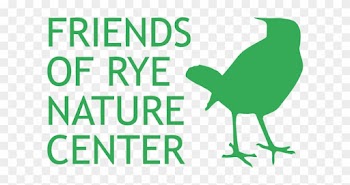 The Friends Of Rye Nature Center's Summer Day Camp - White Gloss Removable Paper Butt-cut Roll Labels (