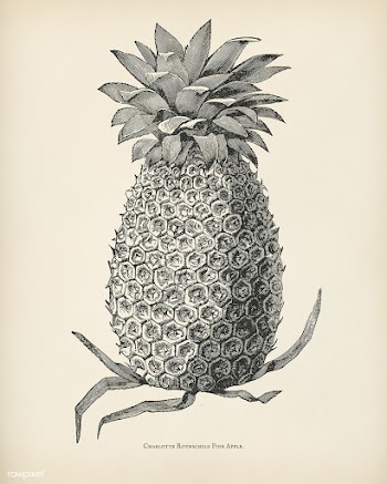 The fruit grower's guide  : Vintage illustra.. | Free stock illustration - 50945