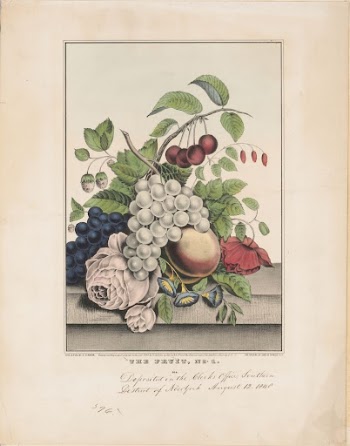 The fruit, no. 1 (1848) | Free Photo - rawpixel