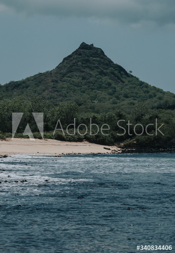 The Galapagos Islands