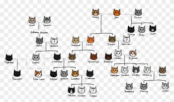 The Gallery For > Warrior Cat Spottedleaf - Brambleclaw Family Tree