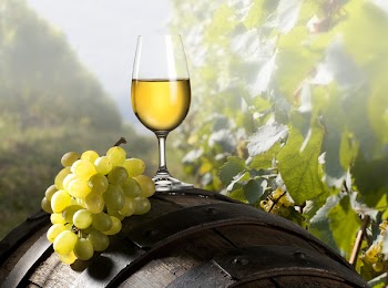 The glass of wine an and old barrel and grape