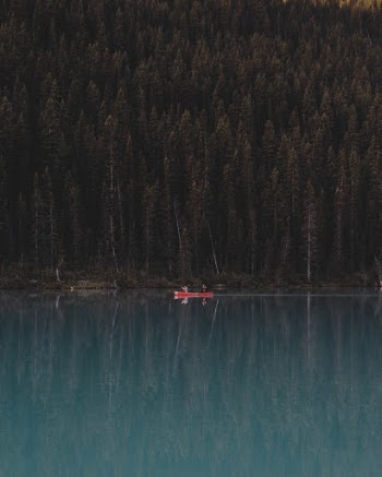 The glassy reflection of Lake Louise's water creates an alternate turquoise world.