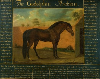 The Godolphin Arabian | Free Photo - rawpixel