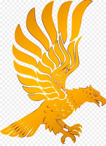 The Golden Eagle Bird - Golden Eagle 