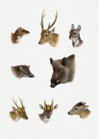 The Great and Small Game | Free Photo Illustration - rawpixel